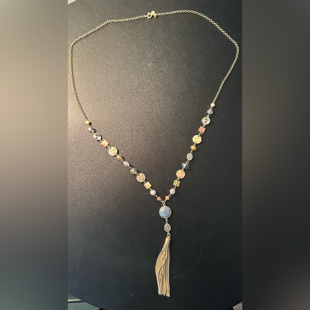 Francesca’s Long Statement Necklace